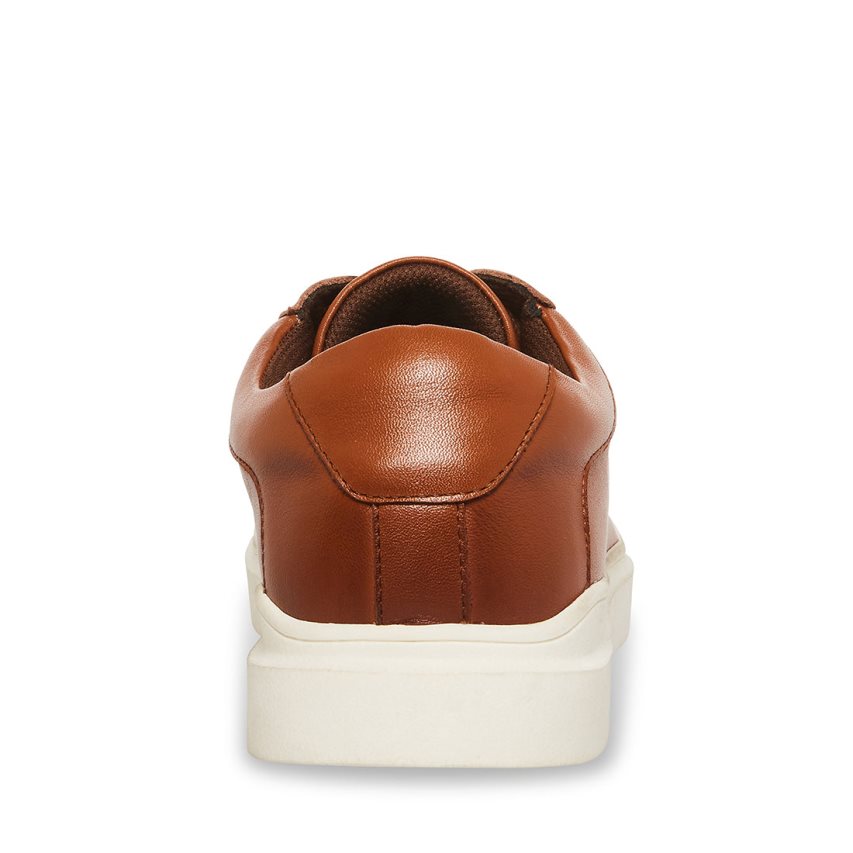 Brown Steve Madden Tilton Leather Men's Sneakers | PH 1279ENK